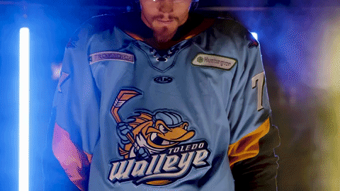 Hockey Cole GIF by Toledo Walleye