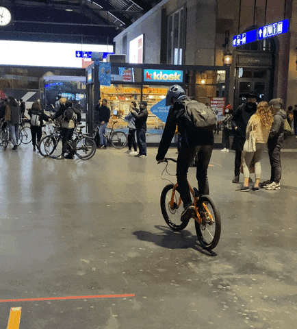 schimmelvelo giphyupload criticalmass trialbike schimmelvelo GIF