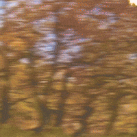 Ateez Hongjoong GIF