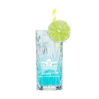 Party Fun Sticker by TROJKA Vodka