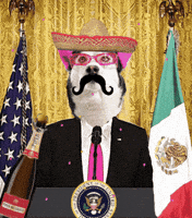 Mexican American Party GIF by SWAGGY WOLFDOG