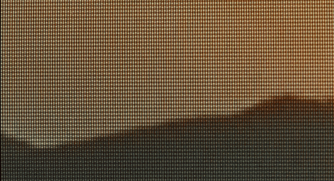 sun rose GIF
