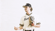 Ncaa Baseball Celebration GIF by Purdue Fort Wayne Athletics