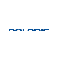 Brand Sticker by Polaris RZR