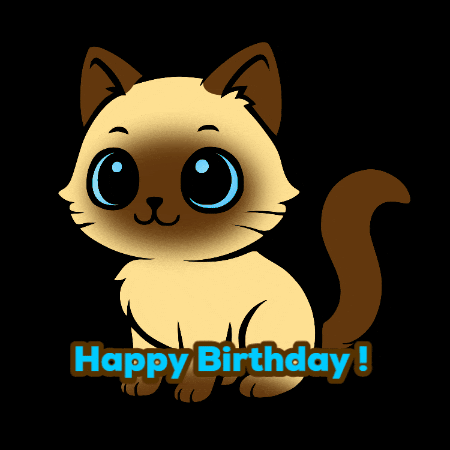 Happy Birthday Cat GIF