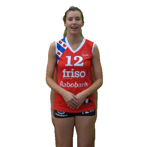 Volleybal Sneek Sticker by EyeWax