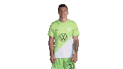 Football Applause Sticker by VfL Wolfsburg