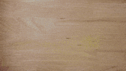 Good Eats Food GIF by BrainFood