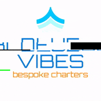 BlueVibesYachting  GIF