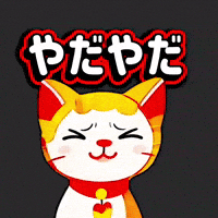 Cat No GIF
