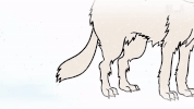 GIF by Animal Planet