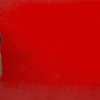 Posing Bayer 04 GIF by Bayer 04 Leverkusen