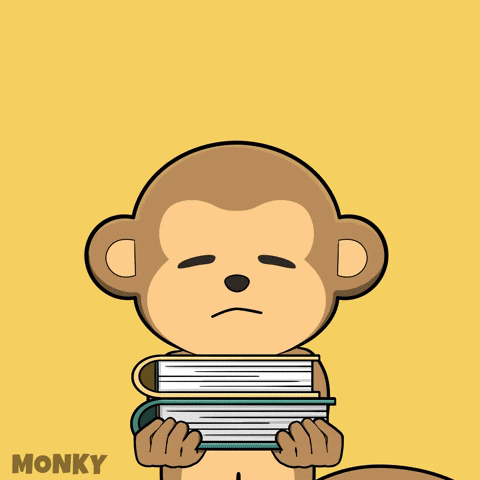 School Class GIF by Wise Monkey Meme