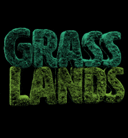 San Francisco Sf GIF by Outside Lands