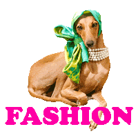 Italian Greyhound Fashion Sticker