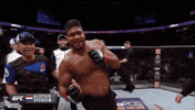 ufc 209 GIF