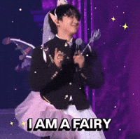 Skz Fairy GIF