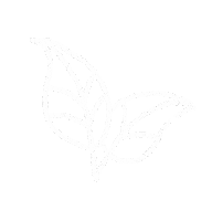Sun Leaf Sticker by Levate