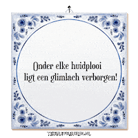 Humor Wijsheid Sticker by Tegelspreuken.nl