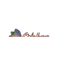 Portobello Sticker by Vilon Desenvolvimento Criativo