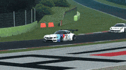 Assetto Corsa Speed GIF by Curated Stance!