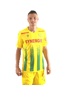 Ligue 1 Football Sticker by FCNantes