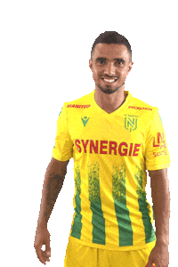 Ligue 1 Football Sticker by FCNantes