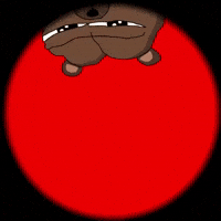 Oso Bobobear GIF by Bobo Memes