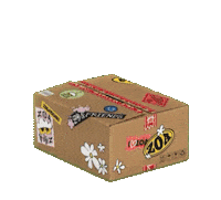 G Dragon Cat Sticker