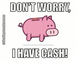 lieblingsbankmemes money cash pig geld GIF