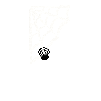 Halloween Spider Sticker
