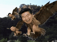 Roh 노무현 GIF