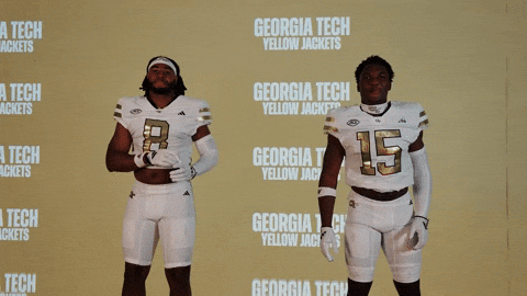 Georgia Tech Football Sport GIF by Georgia Tech Yellow Jackets