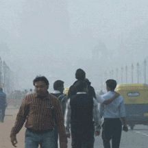 GIF by BBC Shorts