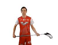 Floorball Sticker by Český florbal