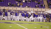 football catch GIF by GreenWave