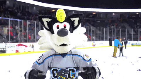 QCStorm giphyupload storm quad city storm qc storm GIF