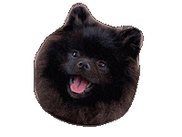 Wilmade love happy dog smile Sticker