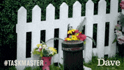 UKTVGIFBANK dave taskmaster comedians greg davies GIF