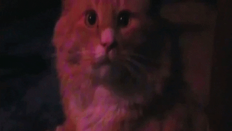 Wanderkid GIF by JW Francis