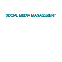 Consulting Social Media Sticker by Diamond Digital Marketing Co.