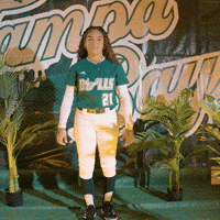 South Florida Horns Up GIF by USF Athletics