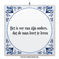 Humor Wijsheid GIF by Tegelspreuken.nl
