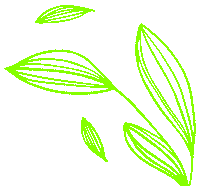 Sticker by Ana Lustosa