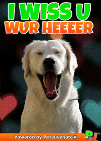 Henlo Hooman Fren GIF by PetJuvenate - PJ