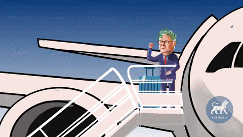 AsiaSocietyAus giphyupload GIF