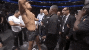Sport Mma GIF by UFC