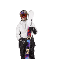 Ski Yes Sticker by Red Bull