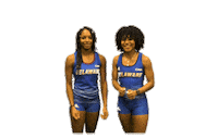 College Sports Bluehens Sticker by Delaware Blue Hens