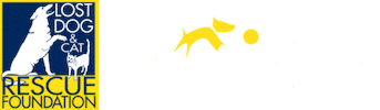 lostdogrescue dogventure lost dog lost dog rescue dogventures Sticker